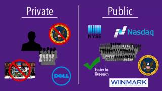 Determining If a Company Is Public or Private
