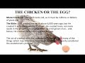 Biblical Cosmology Part 1 of 8  "Just Getting Started"
