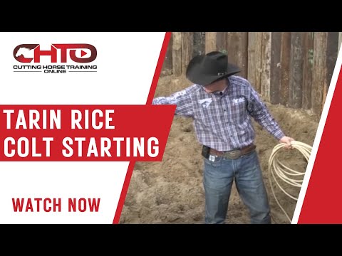 Tarin Rice Colt Starting