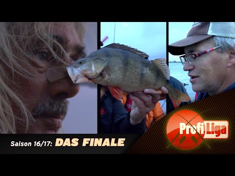 THE FINAL (1): Professional League (3rd season/14): Jörg Ovens vs. Herbert Ziereis!