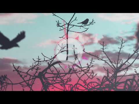 Audax & Pri Pach - Wildfire (Original Club Mix)