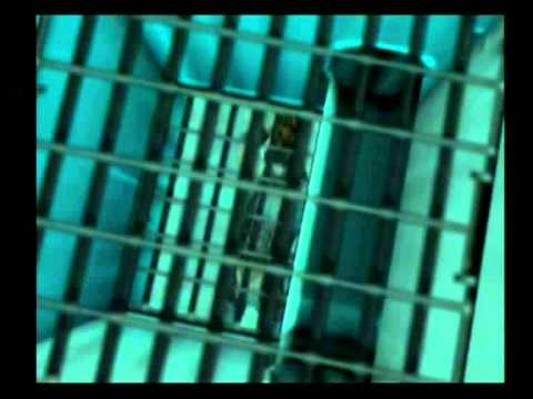 Metal Gear Solid 2   ECTS 2000