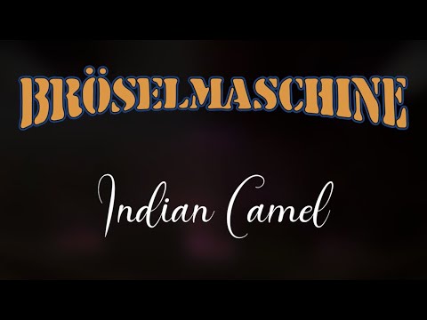 BRÖSELMASCHINE - Indian Camel | Live in Köln 2020