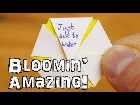 download lagu mp3 mp4 Blooming Paper Flower Template, download lagu Blooming Paper Flower Template gratis, unduh video klip Blooming Paper Flower Template