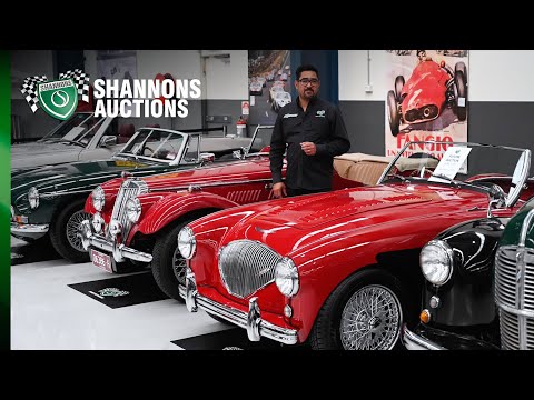 Results Wrap Up - 2021 Shannons Summer Timed Online Auction