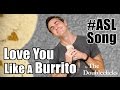 The Doubleclicks - Love You Like A Burrito - ASL ...