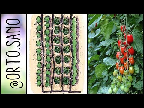 Odio al marito dellalcolizzato Gli illusionisti che curano lalcolismo