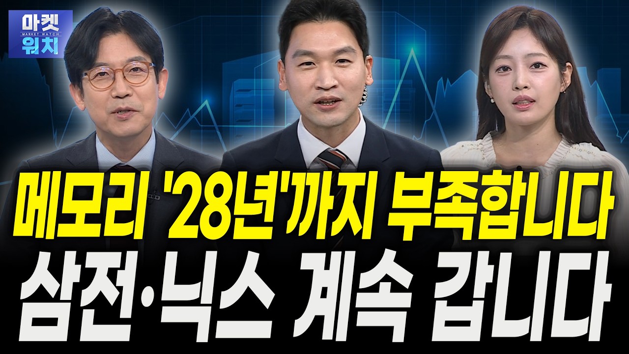 메모리 '28년'까지 부족합니다...삼성전자·SK하이닉스 역사상 최대 호황ㅣ강관우 더프레미어 대표