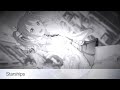 Nightcore Starships