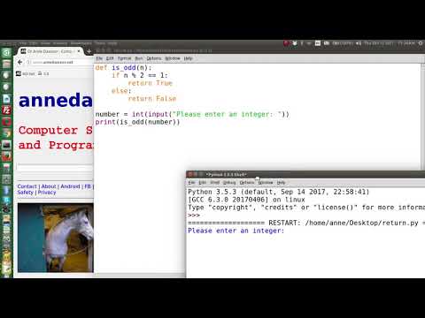 Python 3 User Defined Function With One Argument And Returning A Boolean Value
