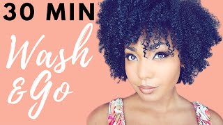 Quick & Dry 30 Minute Wash and Go| NaturalHair
