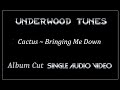 Cactus ~ Bringing Me Down ~ 1972 ~ Single Audio Video