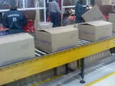 Factory Video