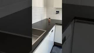 Kitchen fitting