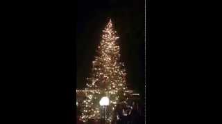 preview picture of video 'Arizona Biltmore Resort Tree Lighting'