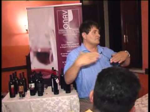 ONDA TG 27.07.2013 - ONAV INCONTRO PRE-ESTIVO