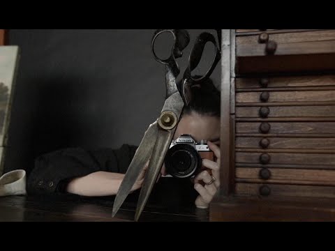 Nikon Z fc korpusas video