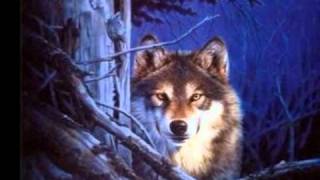 My Spirit Guardian (Mesa Music Consort - Grey Wolf On the Mesa)