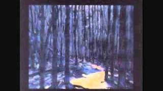 The Album Leaf- We Once Were (One)