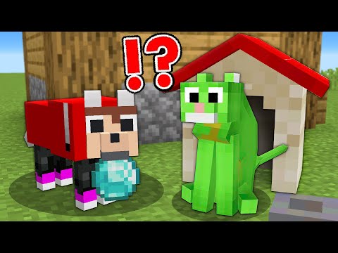JJ and Mikey - JJ and Mikey Became DOG And CAT - in Minecraft Funny Challenge Maizen Mizen Mazien JJ Mikey