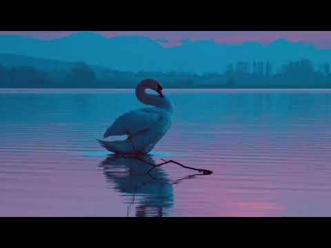 Spektralfarben with Kirine - Iđitguovssu (Dawn Light) - Máddji cover