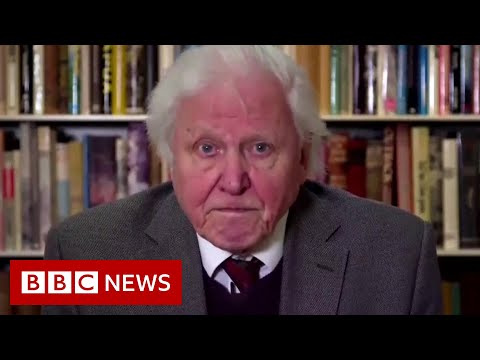 阿滕伯勒向聯合國發出關於氣候變化的嚴正警告 - BBC News (Attenborough gives stark warning on climate change to UN - BBC News)
