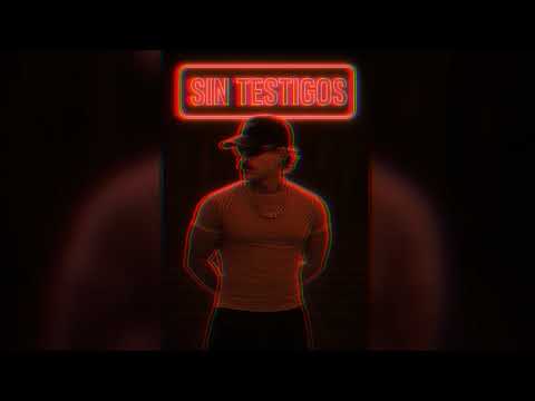 FEID - SIN TESTIGOS (IA2025)