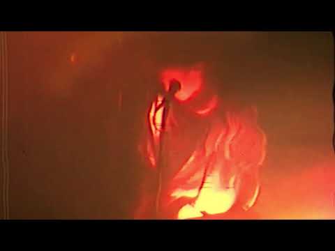 Tones On Tail - Lions