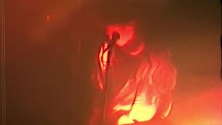 Tones On Tail - Lions