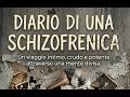 Recensione Diario Di Una Schizofrenica Un Viaggio Nella Mente Di Renée