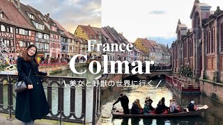 【フランス】コルマール旅行🇫🇷美女と野獣・ジブリの世界を楽しむ1日！