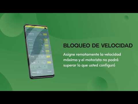 Inspección Autos