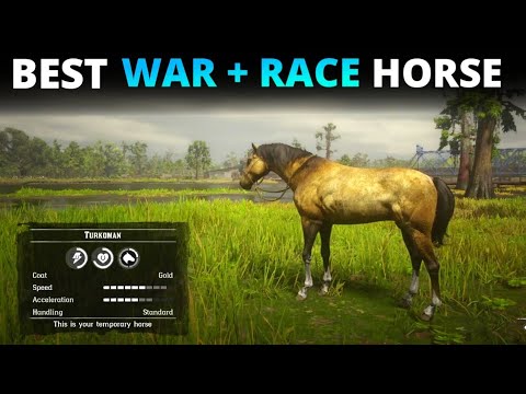 How to get TURKOMAN GOLD (Race+War) horse in Saint Denis for free | Best early horse in RDR2