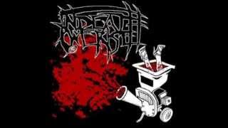 In Death We Rise - Needles Through The Lungs Of Junkies