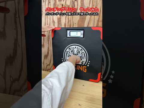 【武道・武術】パンチングマシンを買ってみんなで打ち込んでみた！！#aikido  ＃karate #martial #武道 #空手＃筋トレ