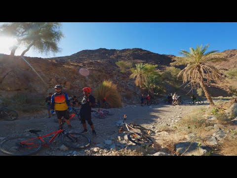 Exploring the mountain bike trails in Showka/Shawka and some encounters with Camels!!!