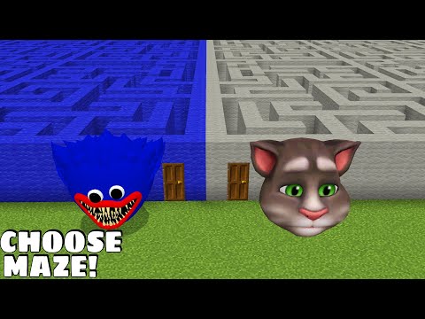 What is the BIGGEST MAZE TO CHOOSE TOM OR HUGGY MAZE in Minecraft - Gameplay - Coffin Meme