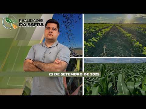Plantio da soja começou em Nova Ubiratã/MT e segue avançando no Brasil