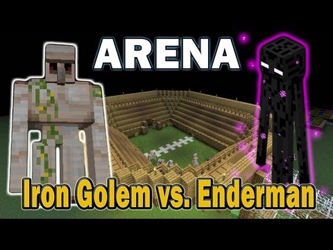 ToZaTop - Minecraft Arena Battle Iron Golem vs. Enderman
