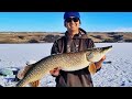 Video Thumbnail for My First Ice Fishing Video Monster Pike Caught on Camera (Buffalo Pound Saskatchewan)