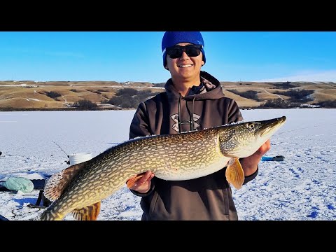 My First Ice Fishing Video Monster Pike Caught on Camera (Buffalo Pound Saskatchewan)