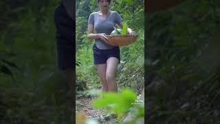 スイカの数は合計いくつですか？　#shorts  #question #面白い