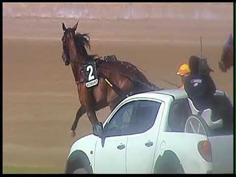 Trotto 11/06/2020 - 5ª corsa