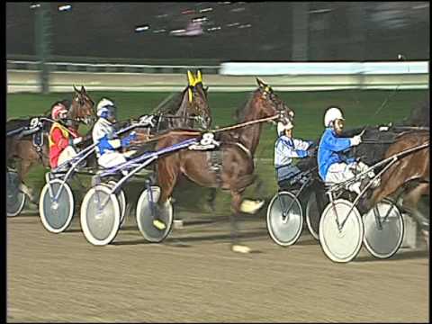 Trotto 11/11/2016 - 7ª corsa