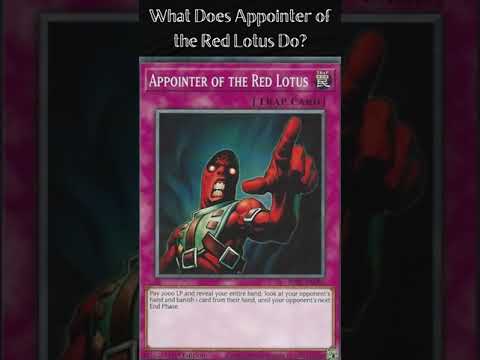 What Does Appointer of the Red Lotus Do? (Yugioh Cards Explained for Easy Deck Building)