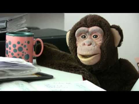 Alejandro Fuentes Bergström - Hushållsbudget