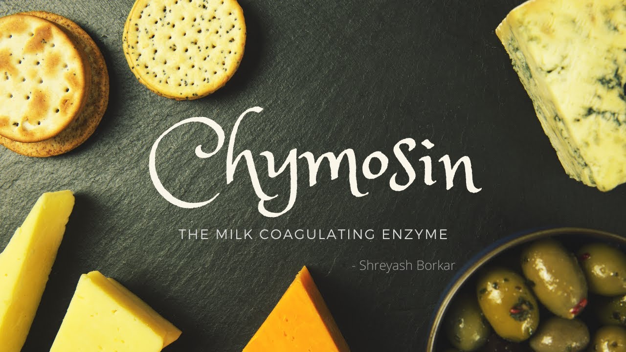 Chymosin: The milk coagulating enzyme