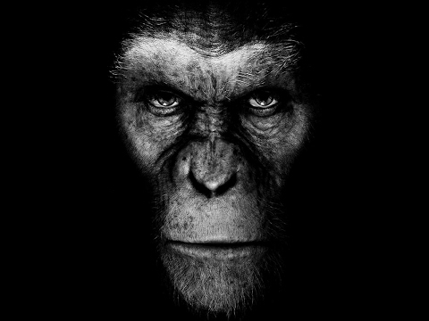 The Chimpanzee [CHROMAZE]