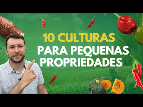 10 culturas ideais para pequenas propriedades @AGRO.Rafaelmartins