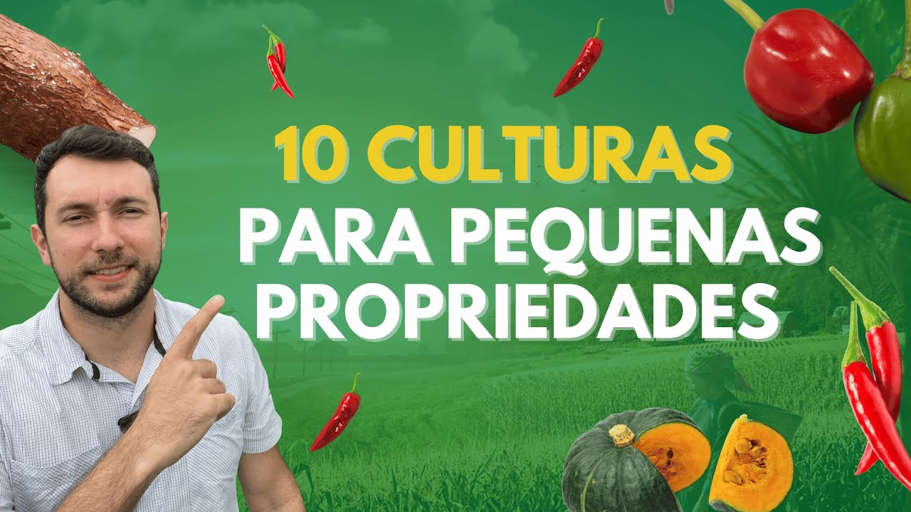 10 culturas ideais para pequenas propriedades @AGRO.Rafaelmartins